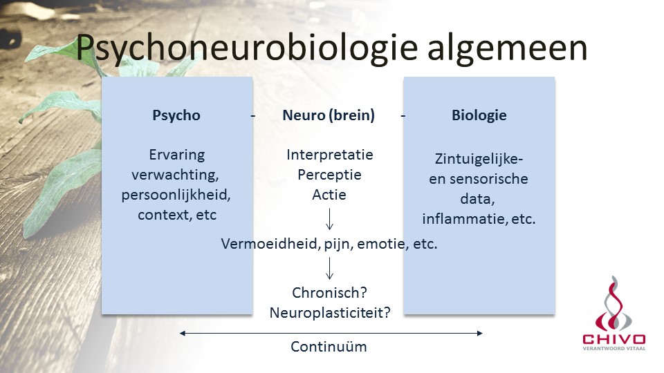 Het psychoneurobiologisch model is een continuum, waarin de onderdelen samenwerken, maar waar het neurodeel (het brein) een centrale rol speelt.
