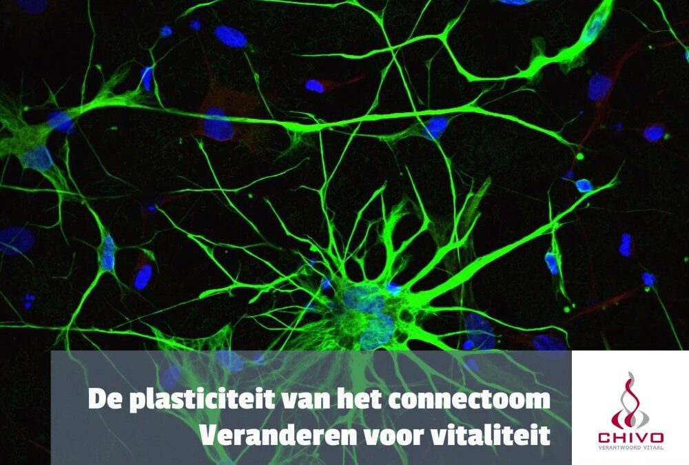 De neuroplasticiteit van het connectoom