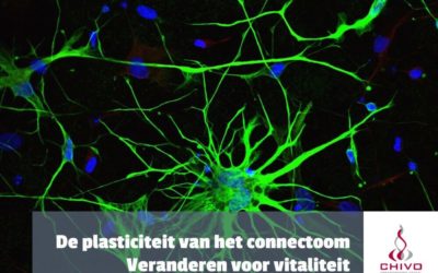 De neuroplasticiteit van het connectoom