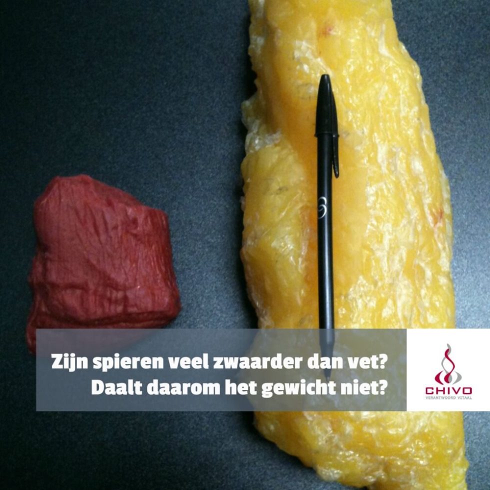 Spieren zwaarder dan vet? Chivo Kennisinstituut vitaliteit Spieren zwaarder dan vet? Chivo Kennisinstituut vitaliteit