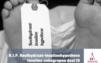 Insuline onbegrepen deel 10: Rust zacht, koolhydraat-insulinehypothese