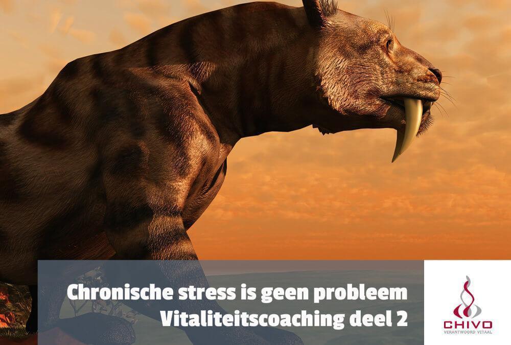 Vitaliteitscoaching deel 2: Chronische stress is niet het probleem