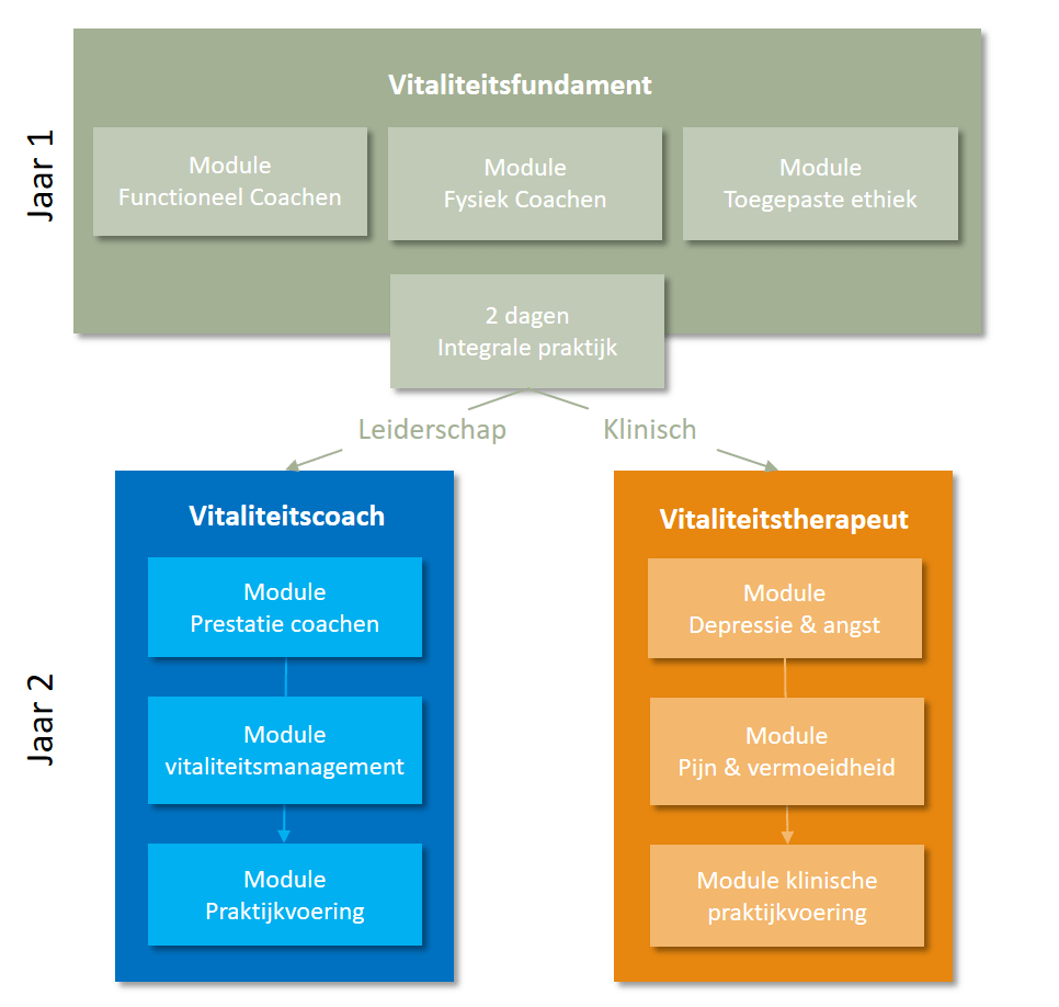 Structuur-opleidingen-2021 Structuur Chivo opleidingen vitaliteit