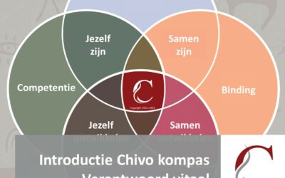 Introductie Chivo kompas