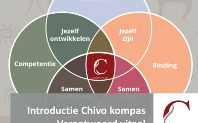 Introductie Chivo kompas