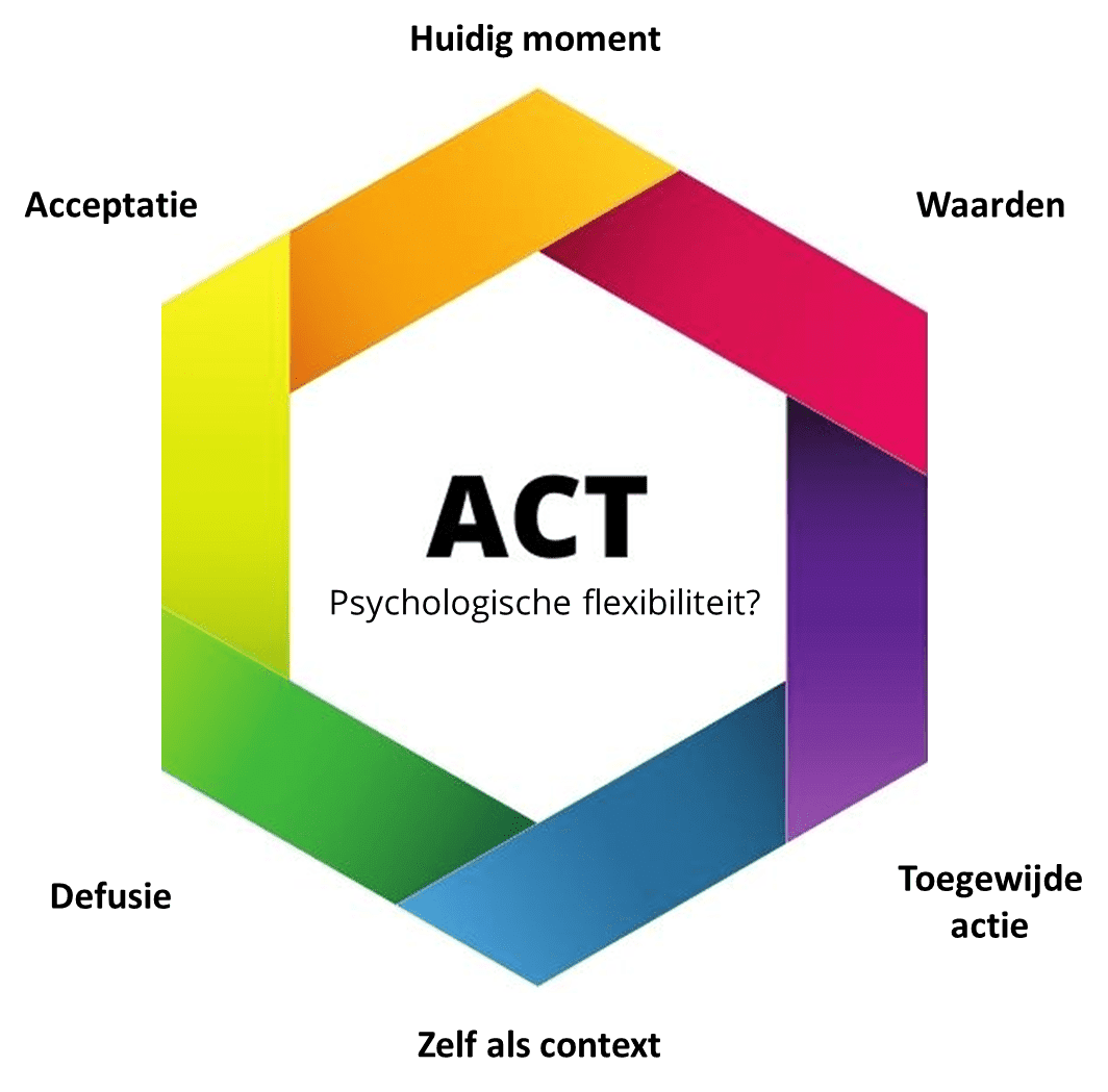 ACT is opgebouwd uit 6 processen die samen de Hexaflex worden genoemd.