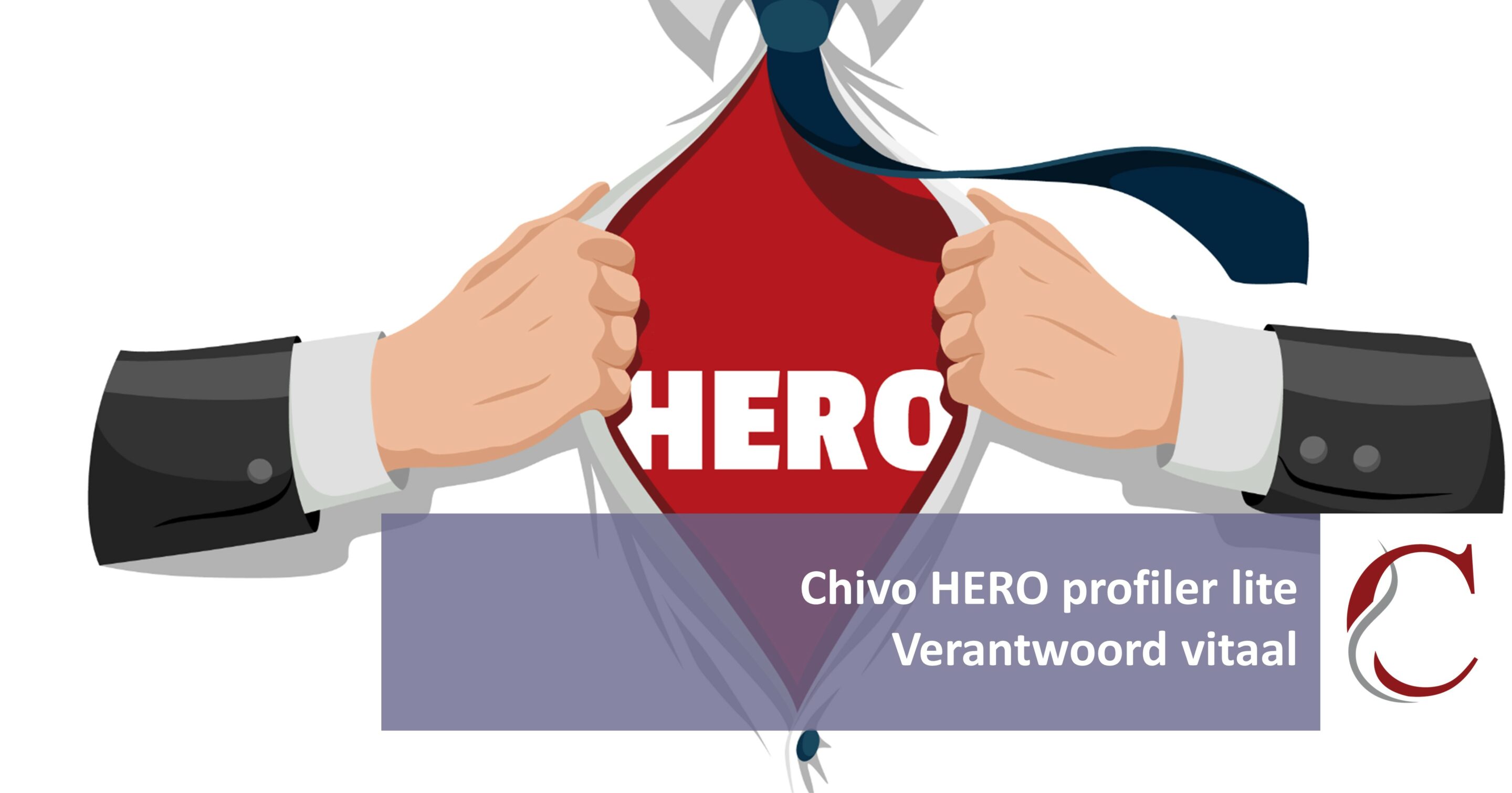 Hero Profiler Lite by Chivo - Ontdek waar je voor staat en hoe je anderen inspireert om je te volgen!