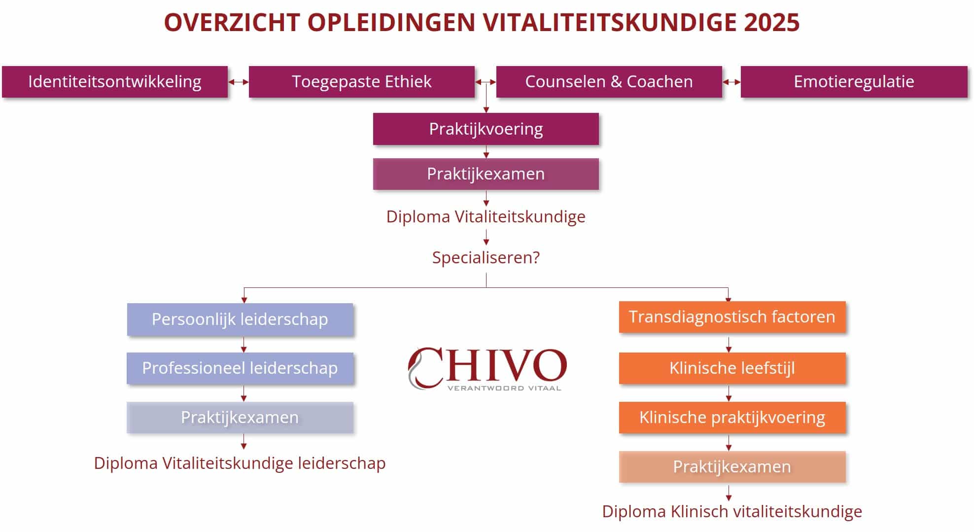 Structuur opleiding Chivo vitaliteitskundige 2025