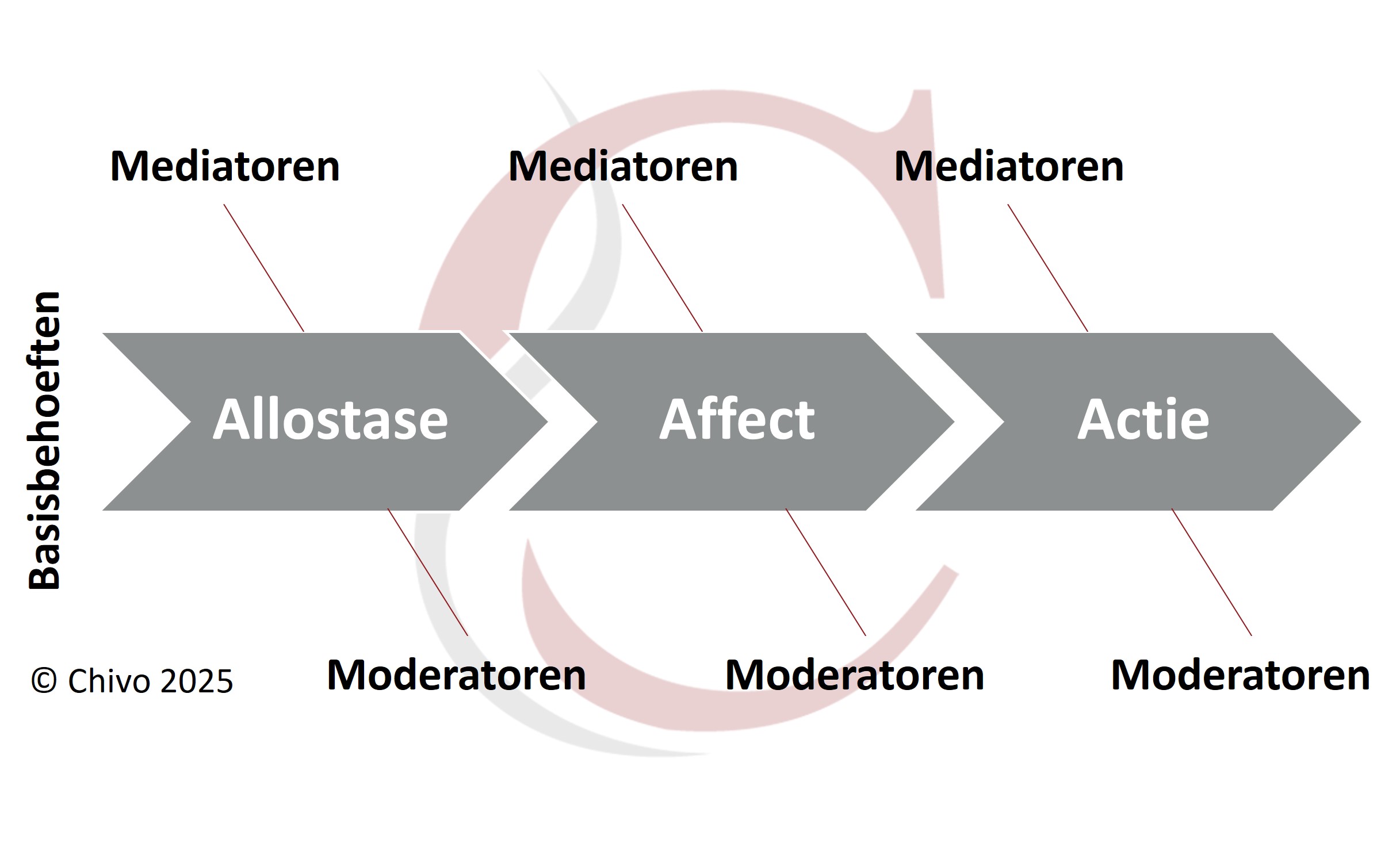 Allostase-affect-actie-motivatiewetenschap-chivo Motivatie vanuit een psychoeurofysiologish perspectief gegrond in allostatische predictiemodellen