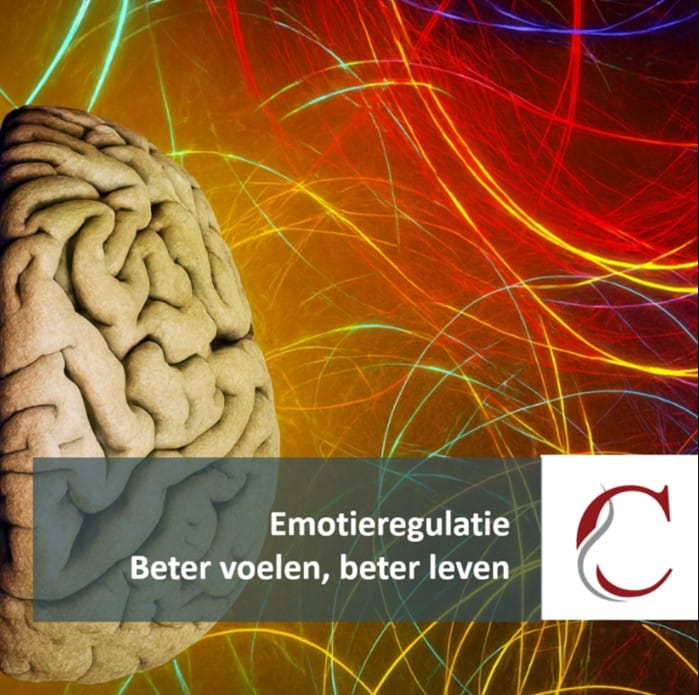 Module emotieregulatie, onderdeel van de opleiding Vitaliteitskundige