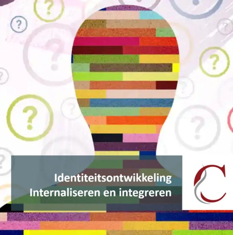 Module Veranderkunde - Effectief doelen bereiken met Chivo