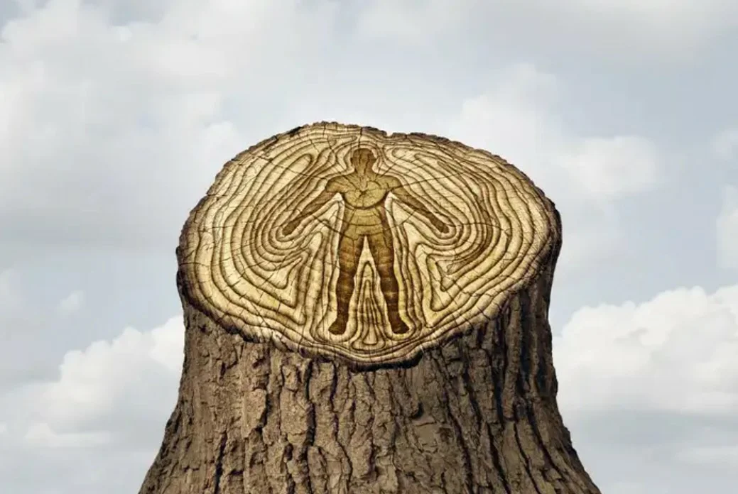Bruikbaarheid en betrouwbaarheid van evolutionaire psychologie