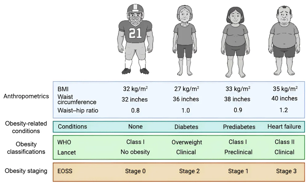 Differentiatie obesitas en begeleiding