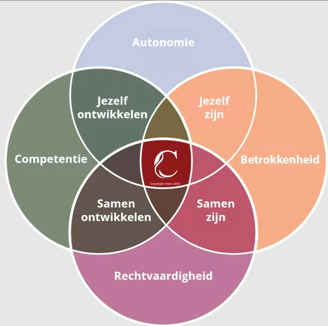 Persoonlijke vitaliteit verhoogt werkgeluk