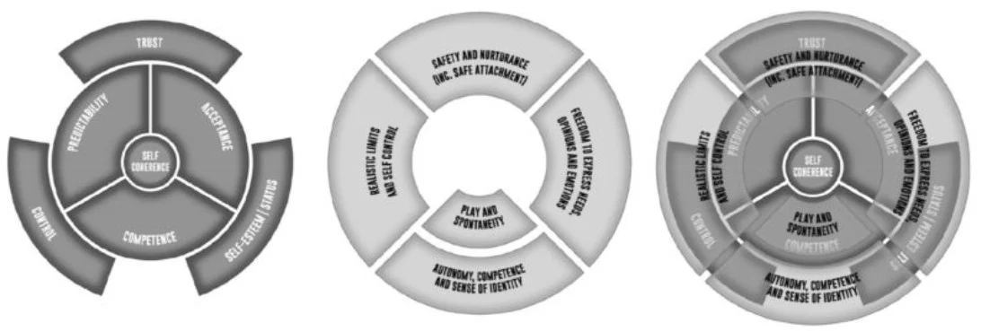 Schematherapie en het ISTIC project