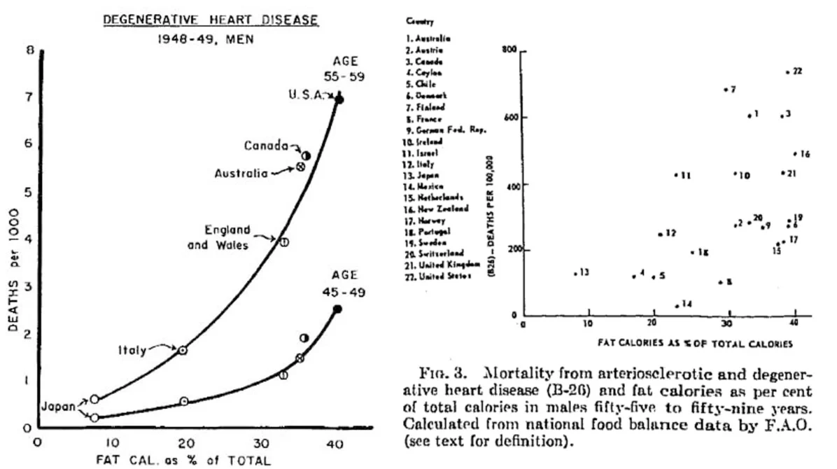 Ancel Keys en de cholesterolmythe ontkracht