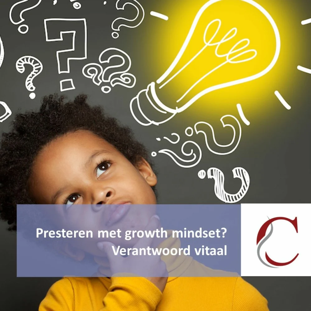 Groeimindset is weinig relevant