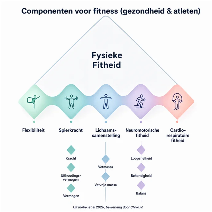 Fysieke fitheid volgens de ACSM 2026