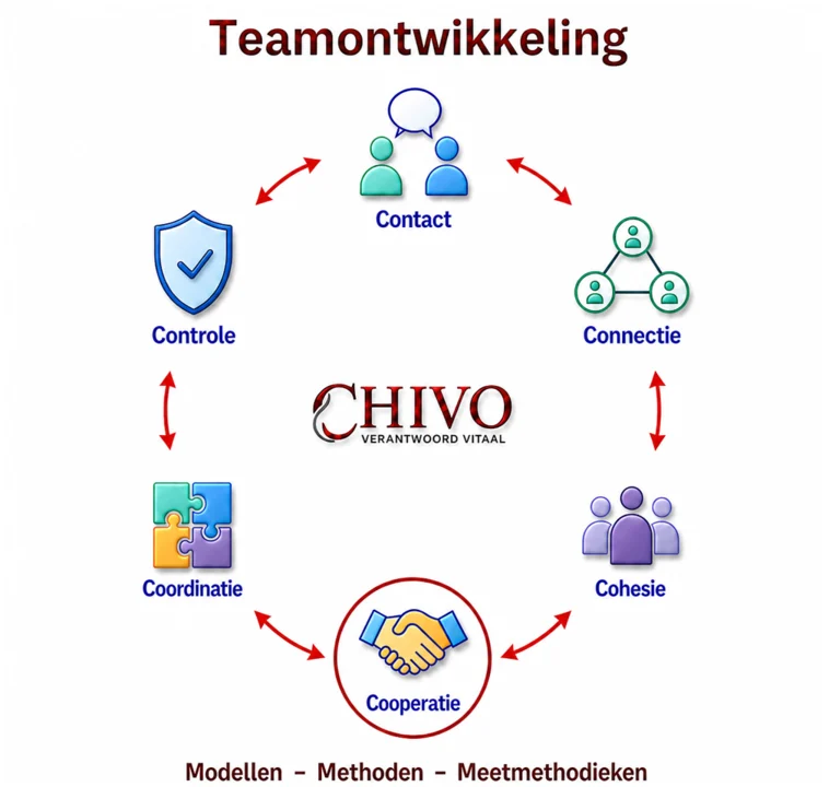 De zes C's van teamontwikkeling